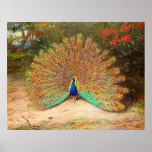 Pfau und Pfauenschmetterling Poster