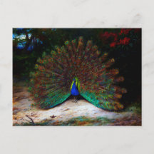 Pfau und Pfauenschmetterling