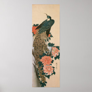 Pfau und Pfingstrosen durch Hiroshige, japanische Poster