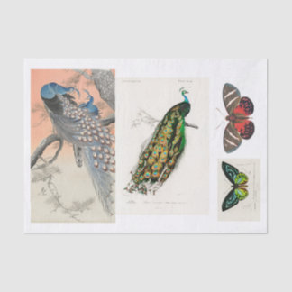 Pfau- und Schmetterlingsdekap Seidenpapier