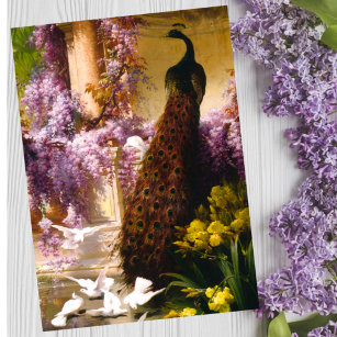 Pfau und Tauben im Garten Postkarte