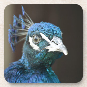 Pfau Untersetzer
