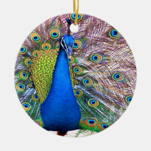 Pfau-Verzierung Keramik Ornament