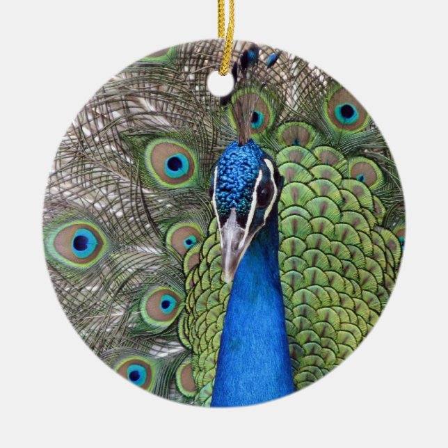 Pfau-Verzierung Keramik Ornament (Vorne)