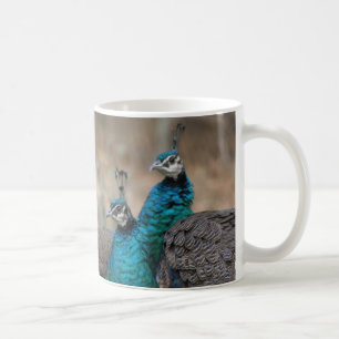 Pfau-Vogel-Feder-Tier-Tiere Kaffeetasse