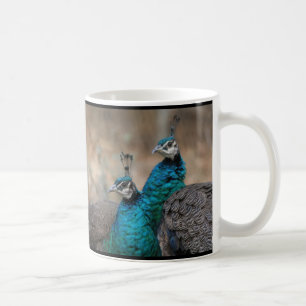 Pfau-Vogel-Feder-Tier-Tiere Kaffeetasse