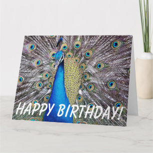 Pfau-Vogel-Geburtstags-große Gruß-Karte Karte