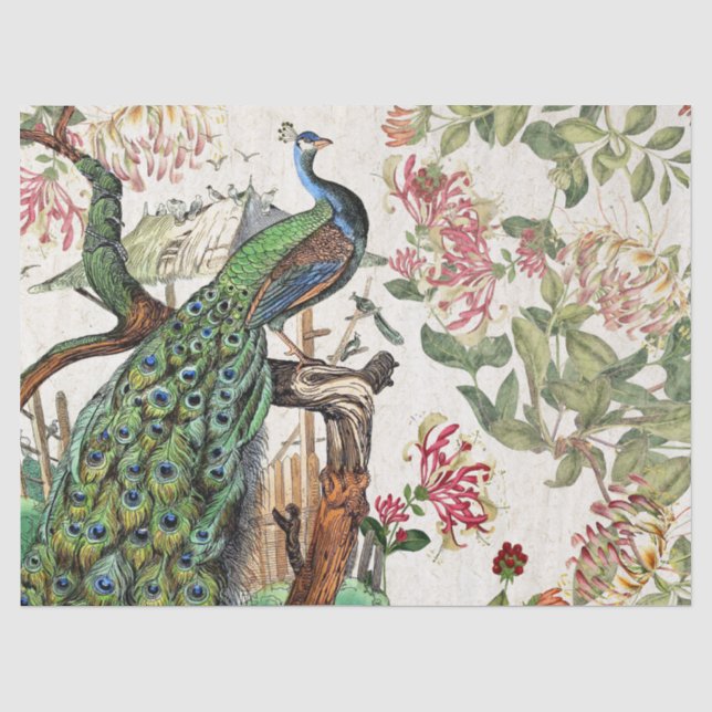 Pfau-Vogel-Geißblatt-Blumen-Seidenpapier Seidenpapier (Vorderseite)