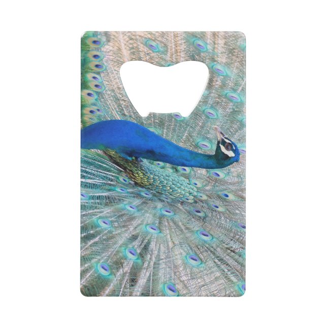 Pfau, Vogel, Tier Geldbeutel Flaschenöffner (Vorderseite)