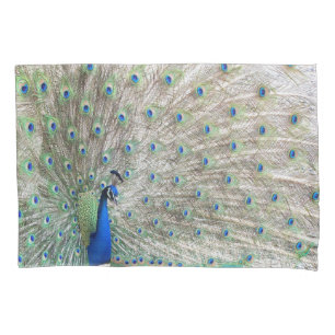 Pfau-Vogel-Tier versieht Kissenbezug mit Federn