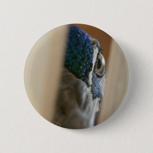Pfauauge durch hölzerne Torlatten Button (Vorderseite)