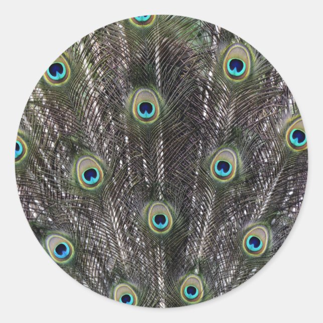 Pfauen Feathers Umschlag Aufkleber Stickers (Vorderseite)