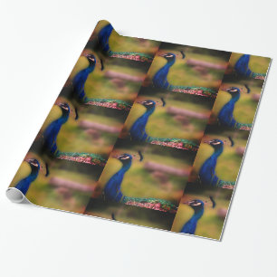 Pfauen-Foto-Mattverpackungspapier Geschenkpapier