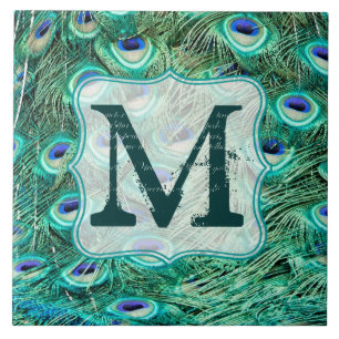 Pfauen-Vogel-Feder-Blau Monogramm-Display-Tafel Fliese