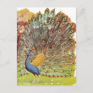 PfauenBlues Postkarte