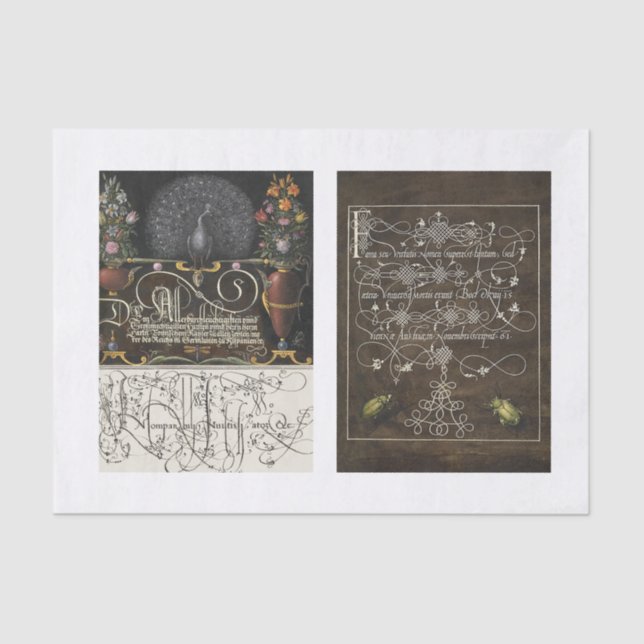 Pfauenblumengarten Seidenpapier (Vorderseite)