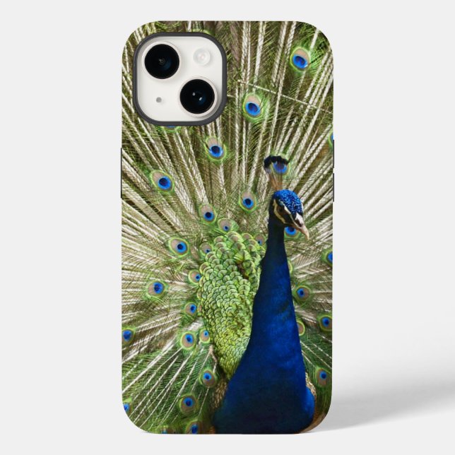 Pfauendarstellung Case-Mate iPhone 14 Hülle (Rückseite)