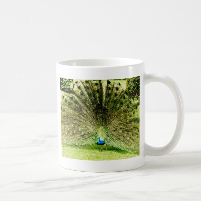 Pfauendarstellungsfarben Kaffeetasse (Rechts)