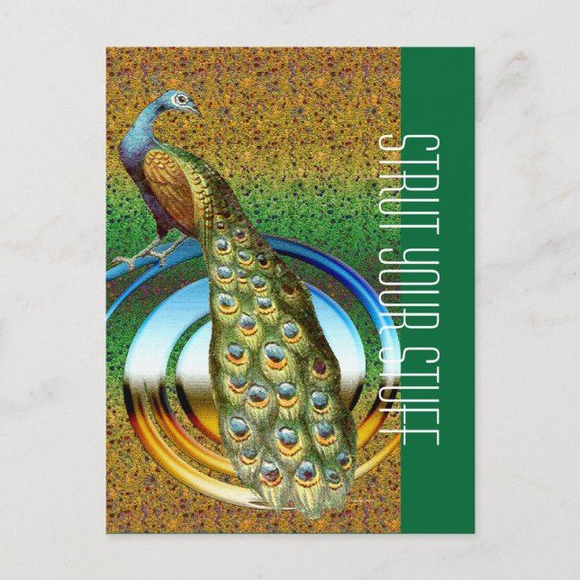 Pfauenfarben Postkarte (Vorderseite)