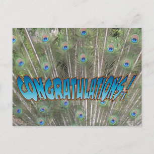 Pfauenfeathers Herzlichen Glückwunsch Postcard Blu Postkarte