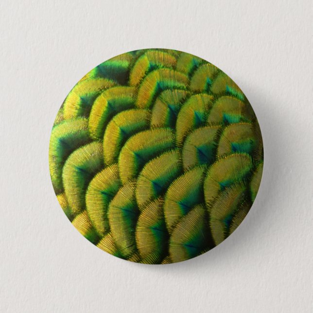 Pfauenfeathers II Farbenfrohe Natur Button (Vorderseite)