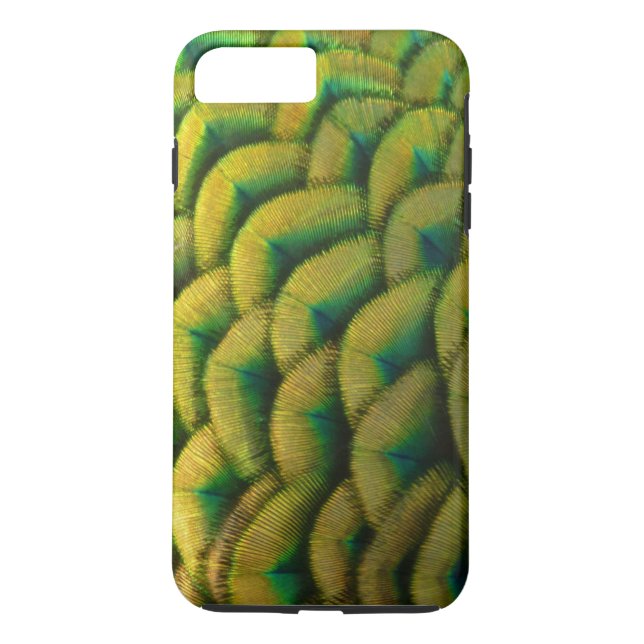 Pfauenfeathers II Farbenfrohe Natur Case-Mate iPhone Hülle (Rückseite)