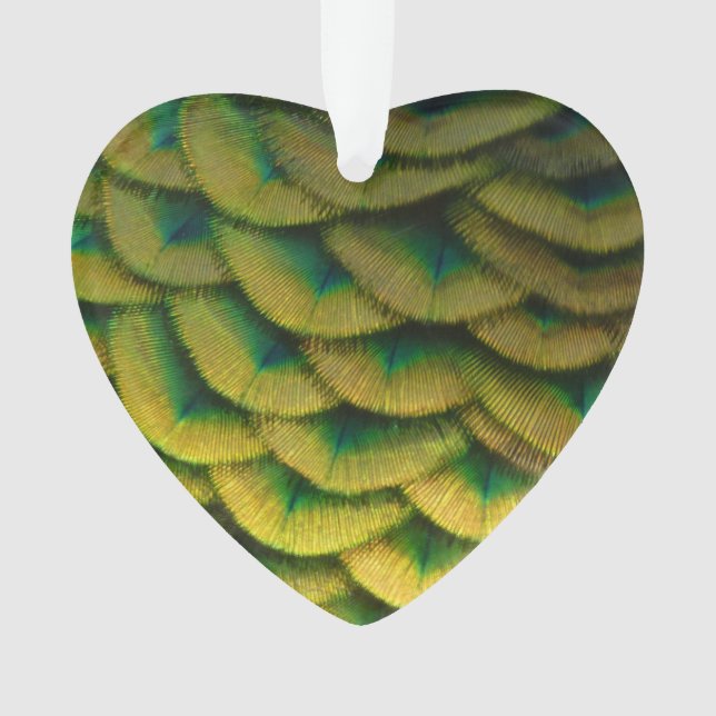 Pfauenfeathers II Farbenfrohe Natur Ornament (Vorderseite)