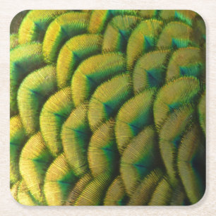 Pfauenfeathers II Farbenfrohe Natur Rechteckiger Pappuntersetzer