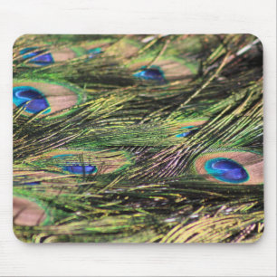 Pfauenfeathers mousepad