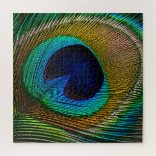 Pfauenfeder-Auge