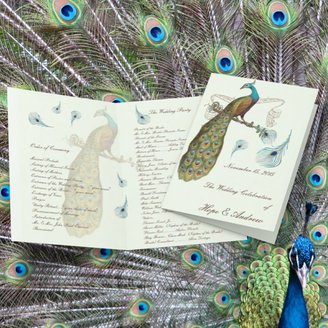 Pfauenfeder Hochzeitsprogramm (Von Creator hochgeladen)