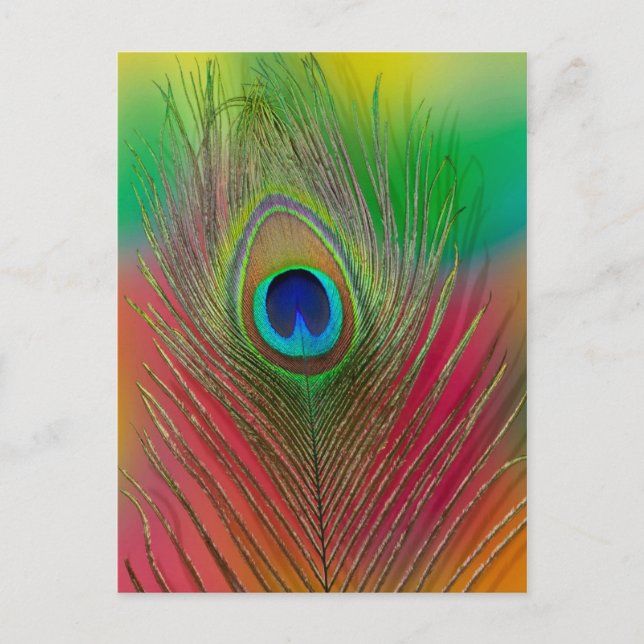 Pfauenfeder nah postkarte (Vorderseite)