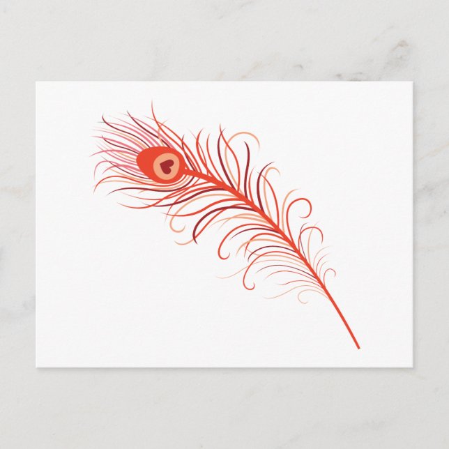 Pfauenfeder Postkarte (Vorderseite)