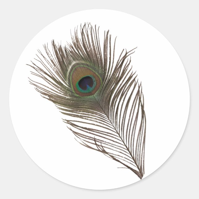 Pfauenfeder Runder Aufkleber (Vorderseite)
