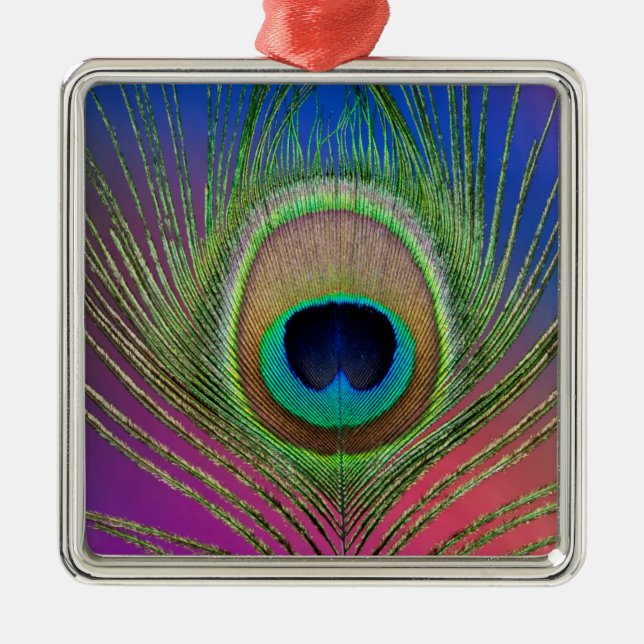 Pfauenfeder Silbernes Ornament (Vorne)