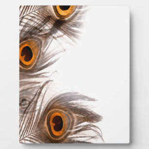 Pfauenfederhalter Fotoplatte