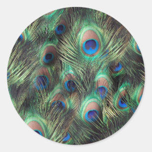 Pfauenfederhalter Runder Aufkleber