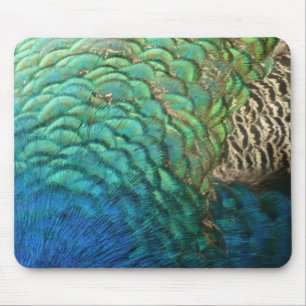 Pfauenfedern I Farbige abstrakte Naturgestaltung Mousepad