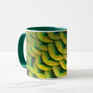 Pfauenfedern II Farbige Natur Tasse