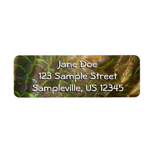 PfauenFedern III (Weiblich) Subtile Natur (Vorne)