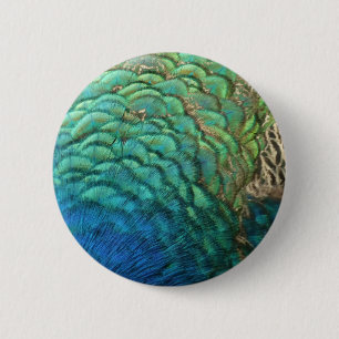PfauenFedern in farbenprächtiger Abstrakter Natur Button
