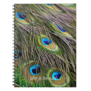 Pfauenfedern Vogel Kauai (meine Fotografie) Notizblock