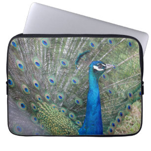 Pfauenfotografie Laptopschutzhülle