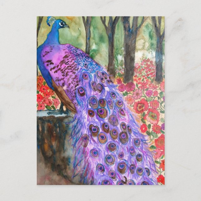 Pfauengarten Postkarte (Vorderseite)