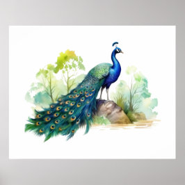 Pfauenillustration Poster