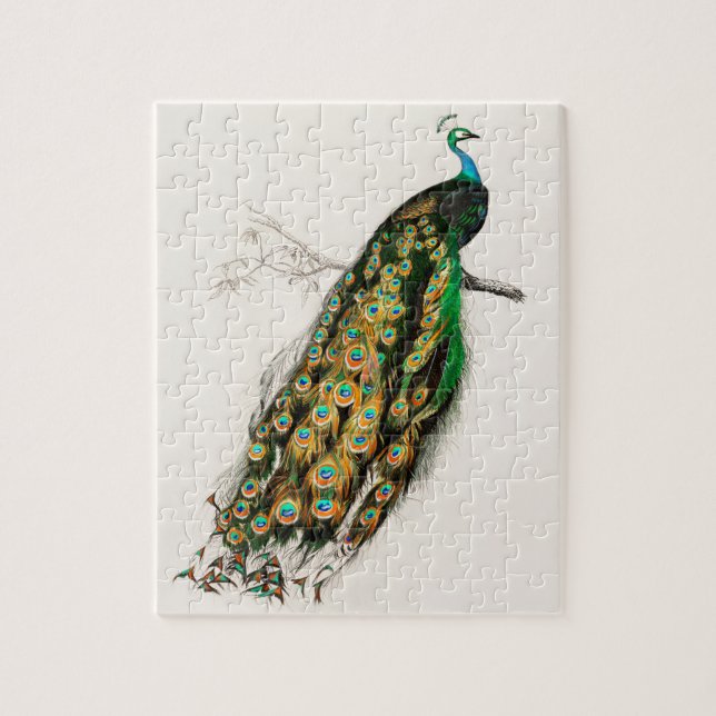 PfauenIllustration Vintage Kunst drucken (Vertikal)