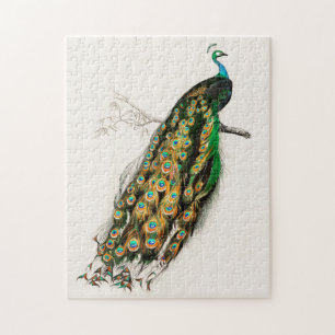 PfauenIllustration Vintage Kunst drucken