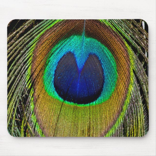 Pfauenmännchen-Schwanzfedern Mousepad (Vorne)