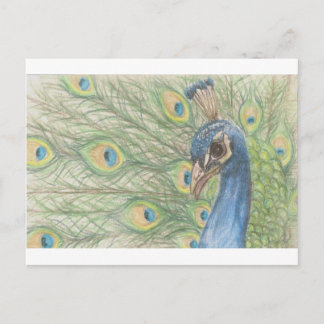 Pfauenpostkarte Postkarte