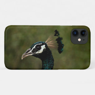 Pfauenprofil Case-Mate iPhone Hülle